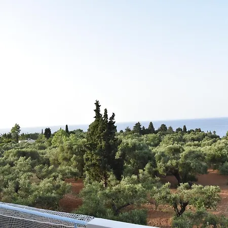 Dimitra's * Akrotiri (Zakynthos)